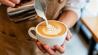 Festival del café 2026 regresa a CDMX con catas, talleres y entrada GRATIS