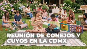 Regresa la adorable reunión de conejos y cuyos en la CDMX con entrada GRATIS: ¿cuándo y dónde será?