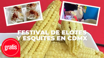 Elotes, esquites, gastronomía chinampera y ajolotario: así será el Festival Ax-Elote en CDMX