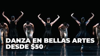 Grafías llega al Palacio de Bellas Artes: Cuándo y cómo ver esta gala de danza en CDMX desde $50