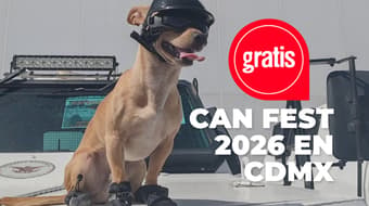 Carrera con perros, adopciones y Comando Chihuahua: así será el Can Fest en CDMX
