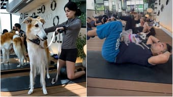 Dog Pilates: Bienestar y conexión con tu lomito