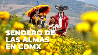 ¡Visita los campos de cempasúchil en CDMX! Habrá recorridos en tractor: fechas y ubicación