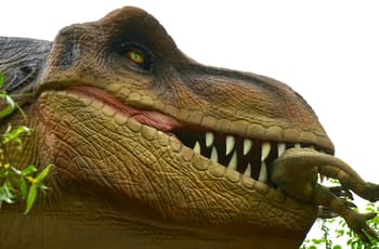 ¿Dónde ver fósiles y dinosaurios en CDMX? Lánzate a esta expo jurásica gratuita