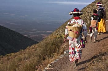 Ruta Wixárika es Patrimonio Mundial de la Unesco; Sheinbaum celebra el reconocimiento