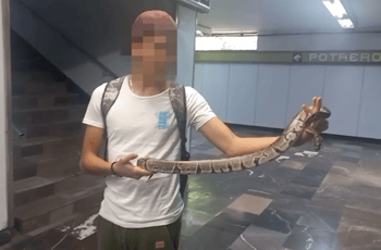 Detienen a joven por portar serpiente gigante en el Metro de CDMX