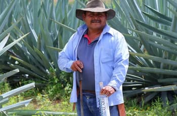 Mezcal y destilados en CDMX: así será el Festival Raíces Ancestrales 2025