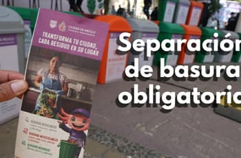 Separación de basura en CDMX: fechas, calendario y cómo entregar residuos sólidos