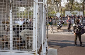 Refugio Franciscano: desconocen el paradero de 159 perros y gatos