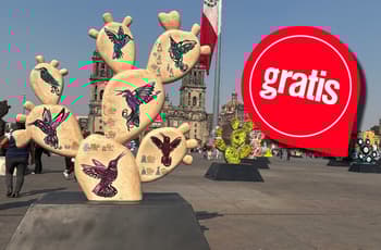 Cientos de nopales llegan al Zócalo CDMX: así es la nueva expo GRATIS