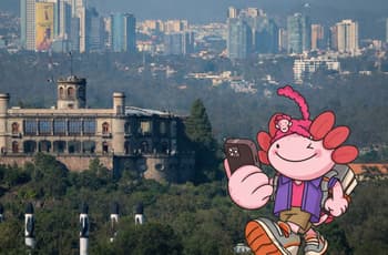 Así es Xoli, el chatbot turístico que te guía en CDMX rumbo al Mundial 2026