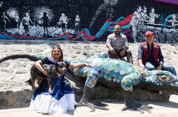 Así es el Jardín de Lluvia: un oasis hídrico cerca del Estadio Ciudad de México
