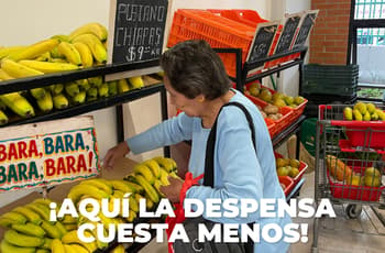 ¡Más barato que en el súper! Así funcionan la Tienda de la Tierra y Del Campo a la Ciudad