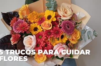¿Cómo hacer que las flores duren más? 5 trucos infalibles