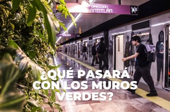 Sustituirán plantas de muros verdes del Metro si no funcionan: así será su mantenimiento