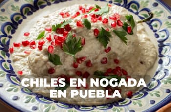 Lánzate a la cuna de los chiles en nogada y échate uno (sin albur)
