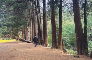 Vacaciones de verano en la CDMX: seis áreas naturales para disfrutar en familia