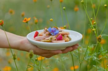 Restaurantes en Tepoztlán por los que los chilangos tomamos carretera