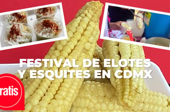 Elotes, esquites, gastronomía chinampera y ajolotario: así será el Festival Ax-Elote en CDMX