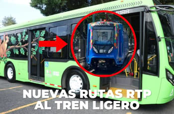 RTP estrena nuevas rutas hacia el Tren Ligero: conoce los autobuses de “Las Ardillas”