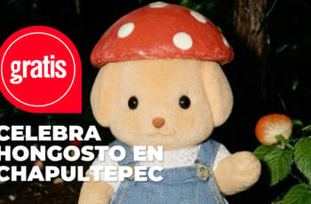 Hongos, Ternurines y Noche de Museos: conoce las actividades de agosto en Chapultepec