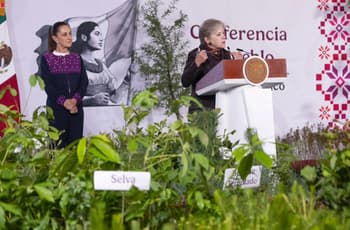 Sembrarán 6.6 millones de árboles y plantas en un día: así será la Jornada Nacional de Reforestación