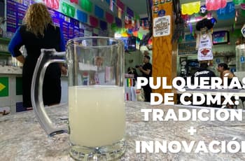 Una tradición ‘curada’ con innovación: pulquerías de CDMX podrían dar un “nuevo giro”