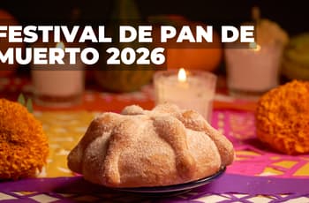 Con ajonjolí, azúcar y relleno: Cuándo y dónde será el Festival del Pan de Muerto 2026 en CDMX