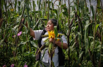 Trabajo de cuidados: la labor invisible que sostiene la vida