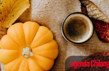 Agenda imperdible: planes para salir en CDMX con comida, arte y adrenalina