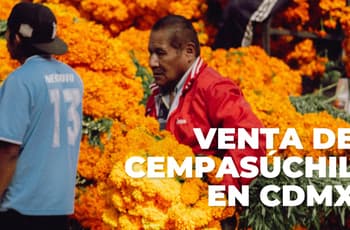 ¿Dónde comprar cempasúchil en CDMX? Habrá venta en Reforma y otros mercados este 2026