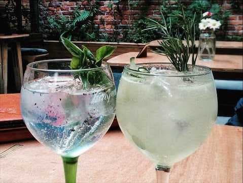 Gin tonic a tu gusto y medida