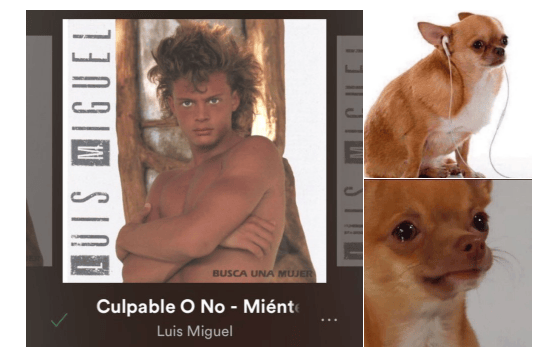 Iñárritu en la serie de Luis Miguel