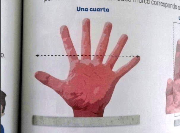 errores en los libros de la SEP?