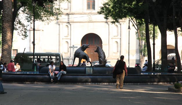 apoyos económicos en Coyoacán