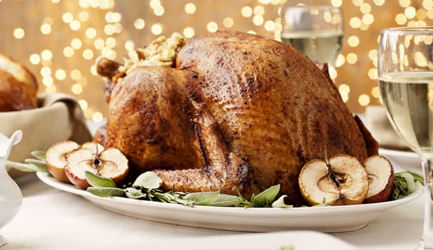 pavo en la fes Cuautitlán