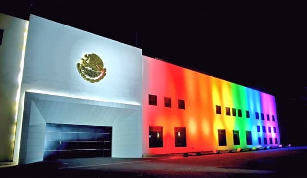 ¿qué pasará con los pinos?