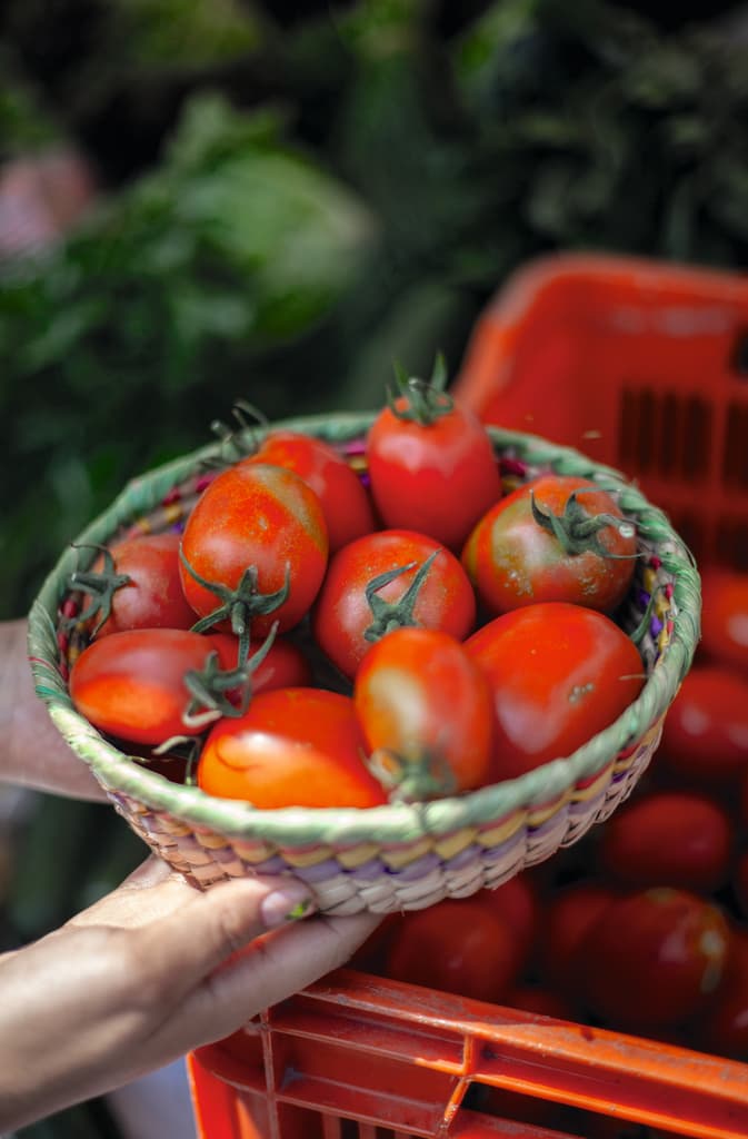 Mercado Alternativo de Xochimilco
