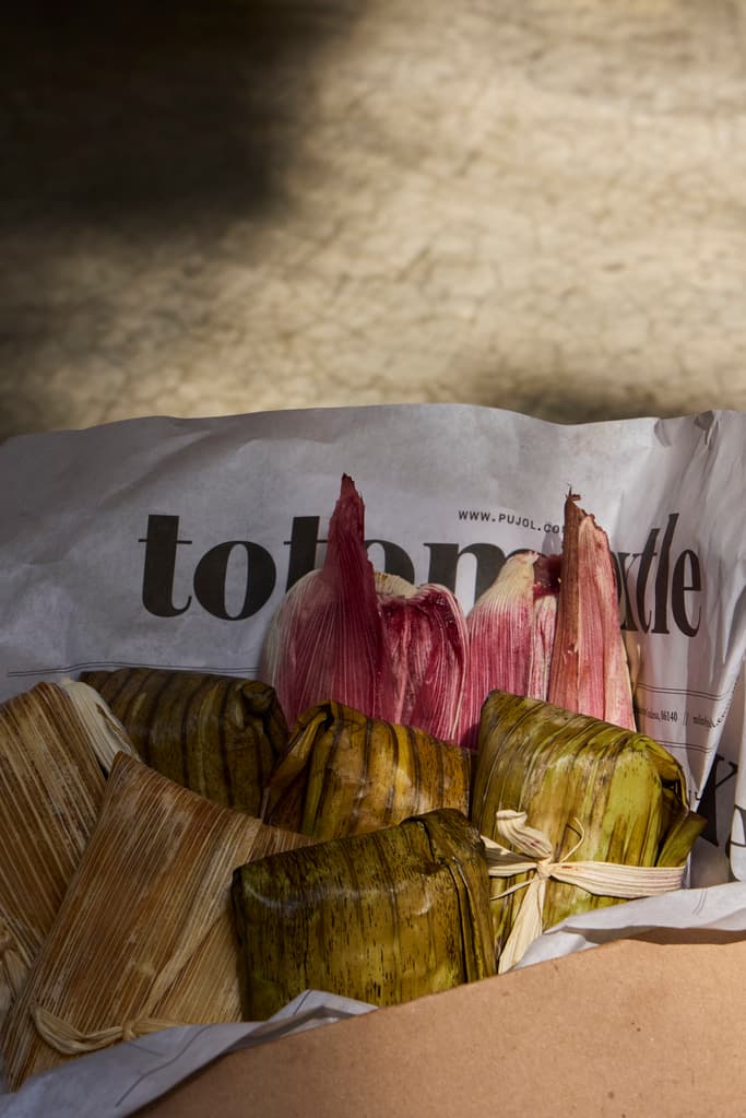 molino pujol tamales