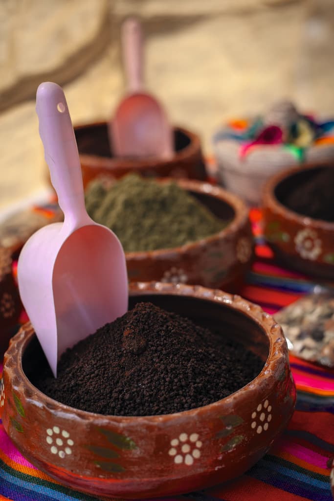 Mercado Alternativo de Xochimilco