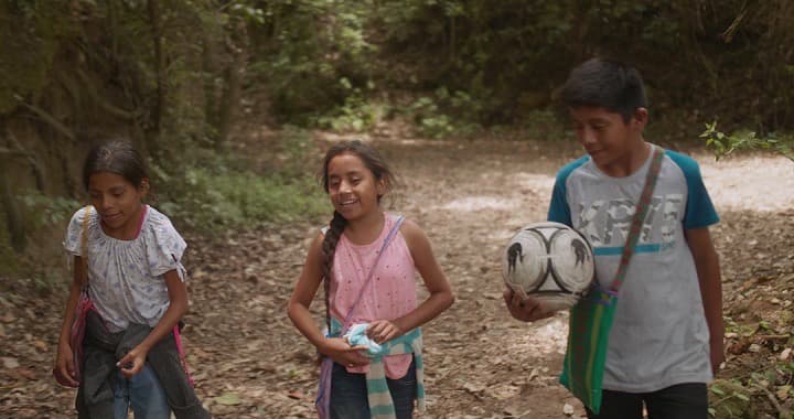 Las funciones serán del jueves 30 de abril al domingo 3 de mayo de 2026 en el Foro al Aire Libre de la Cineteca Nacional Chapultepec.