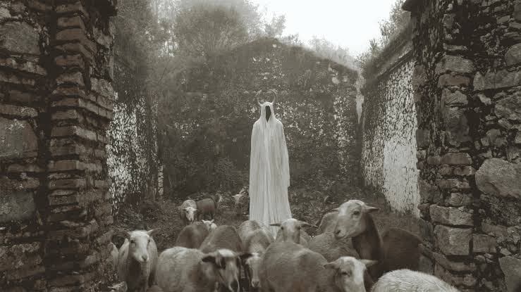 Muestra Internacional de la Cineteca 69