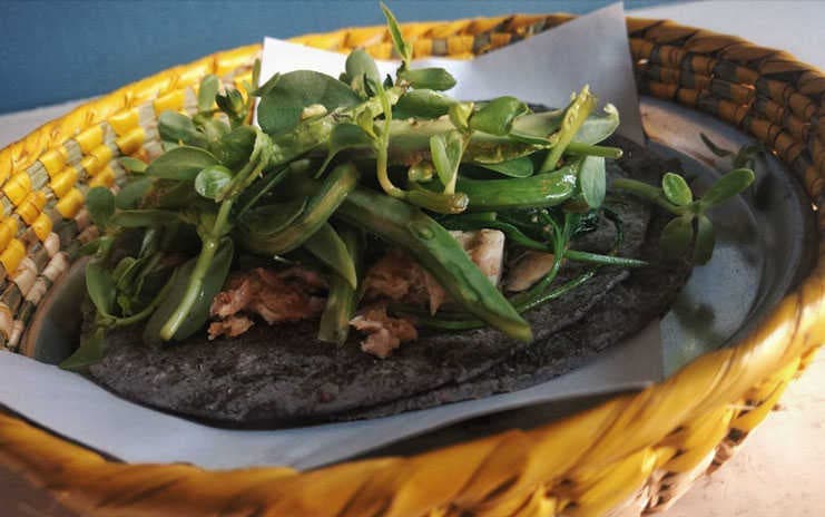 Aquí también vienes a echar "el taco de ojo"