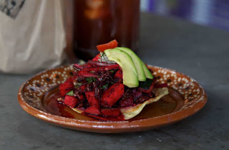 Tostada de aguachile de chapulin de La Guapachosa