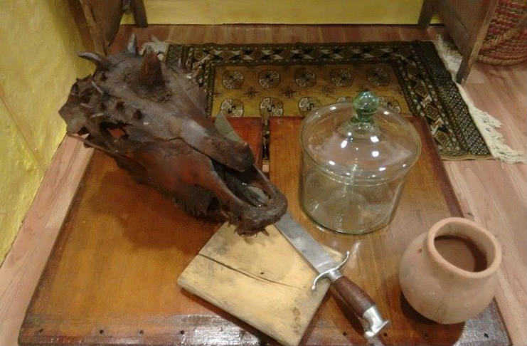 Expo brujas