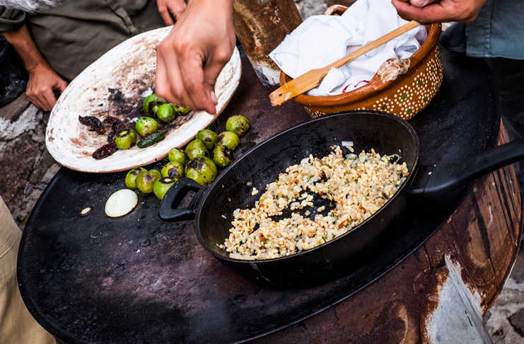 recolectar escamoles