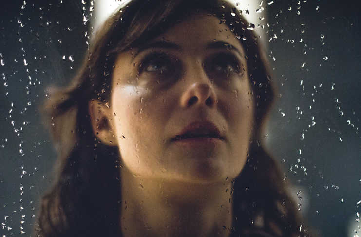 la metáfora de las aves