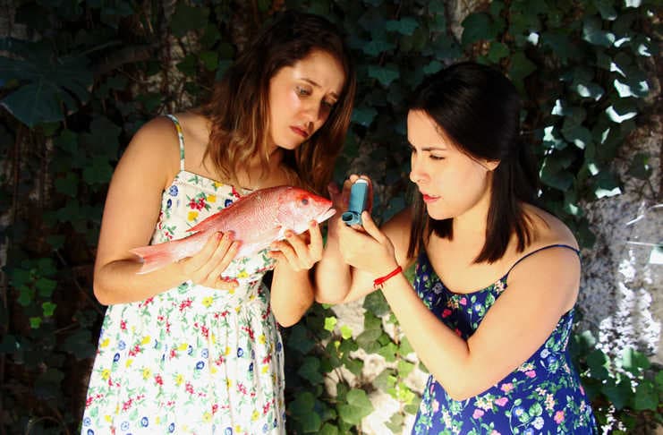 Todos los peces de la tierra