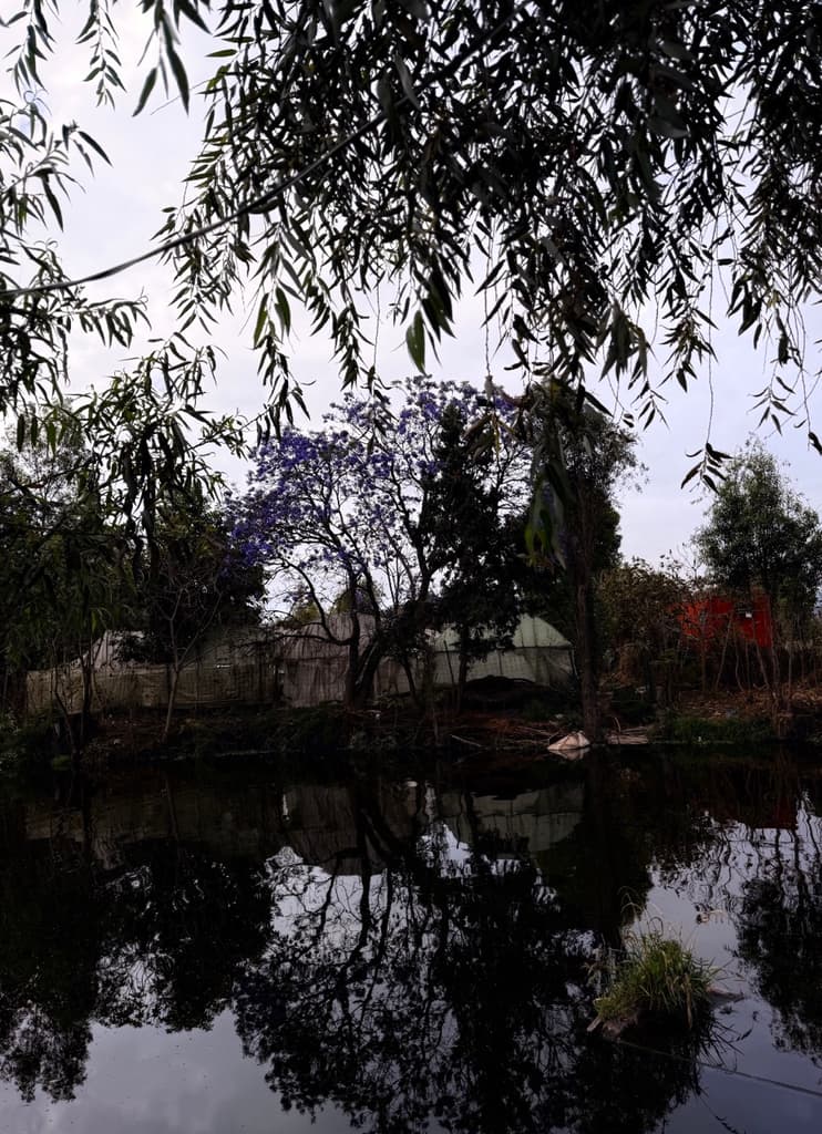 Lunada en Xochimilco 2026: recorrido nocturno, costo y cómo reservar