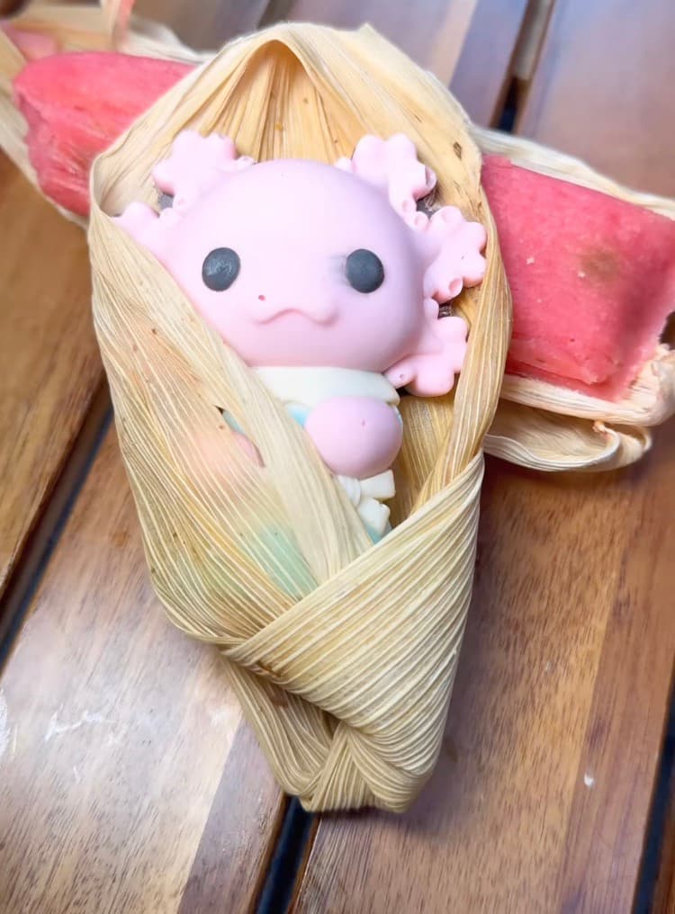 Tamales originales en forma de gato, ajolote o con relleno de birria, aquí están los tamales más locos de CDMX para el Día de la Candelaria.